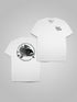 00. Front and BackStay Fancy